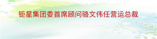 钜星集团委首席顾问骆文伟任营运总裁